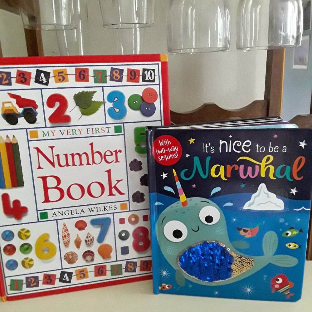 Lot of Two Pre-School Hardcover Books - NWOT